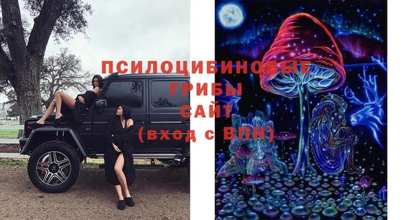 2c-b Абаза
