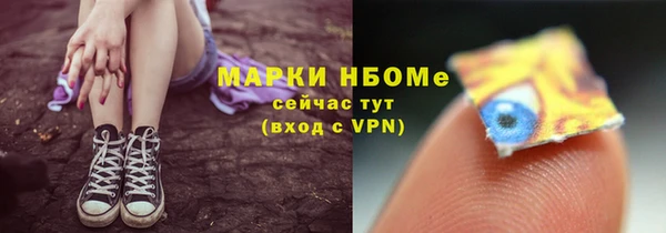 СК Семилуки