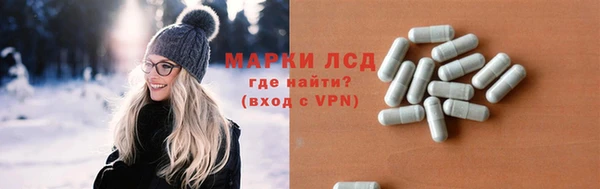 СК Семилуки