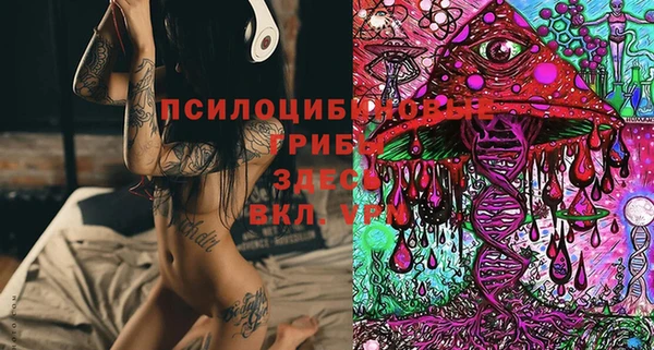 2c-b Абдулино