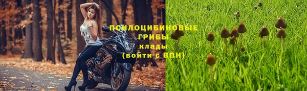 2c-b Абдулино