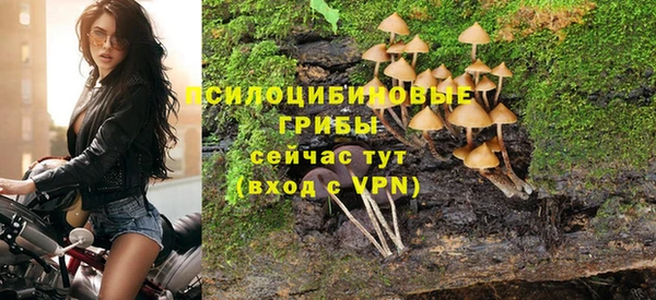 2c-b Абдулино